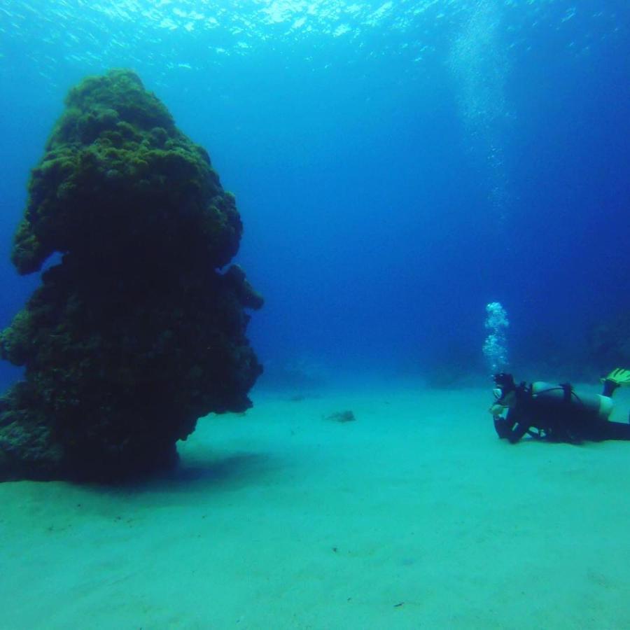 Green Island Good Sound Bagian luar foto